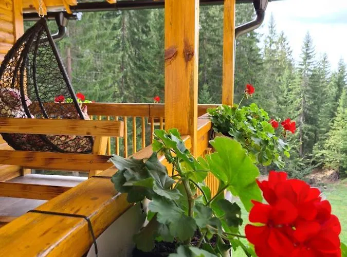 Brvnara Vukovine 木屋